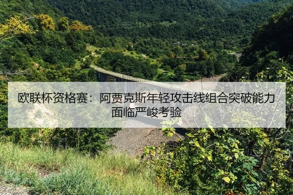 ou-lian-bei-zi-ge-sai-a-jia-ke-si-nian-qing-gong-ji-xian-zu-he-tu-po-neng-li-mian-lin-yan-jun-kao-yan-2-425.jpg