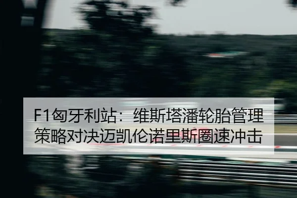 xiong-ya-li-zhan-wei-si-ta-pan-lun-tai-guan-li-ce-lve-dui-jue-mai-kai-lun-nuo-li-si-quan-su-chong-ji-2-719.jpg