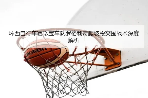 huan-xi-zi-xing-che-sai-zhen-bao-che-dui-luo-ge-li-qi-pa-po-duan-tu-wei-zhan-shu-shen-du-jie-xi-3-336.jpg